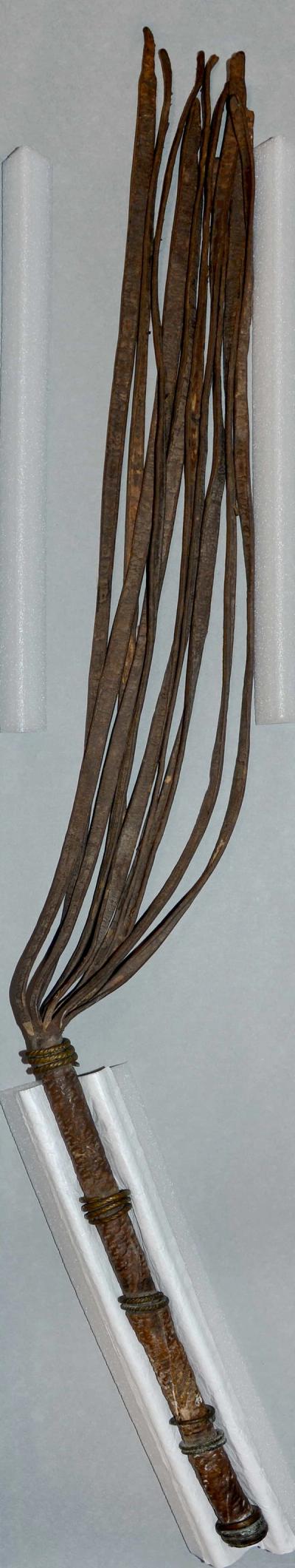 Flywhisk