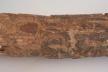 Altar Tusk