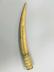 Horn or Flute