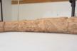 Altar Tusk