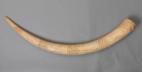 Altar Tusk