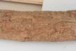 Altar Tusk