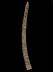 Altar Tusk