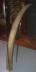 Altar Tusk