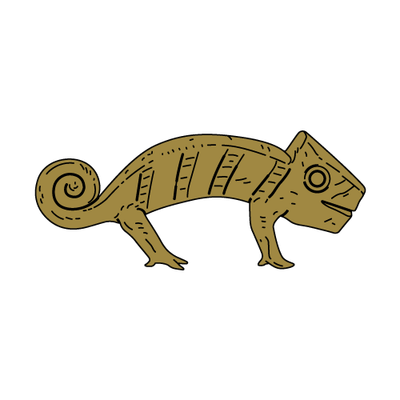 chameleon
