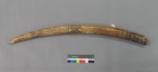 Altar Tusk