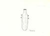 Flask