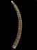Altar Tusk