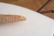 Altar Tusk