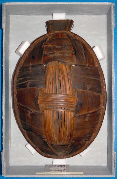 Shield