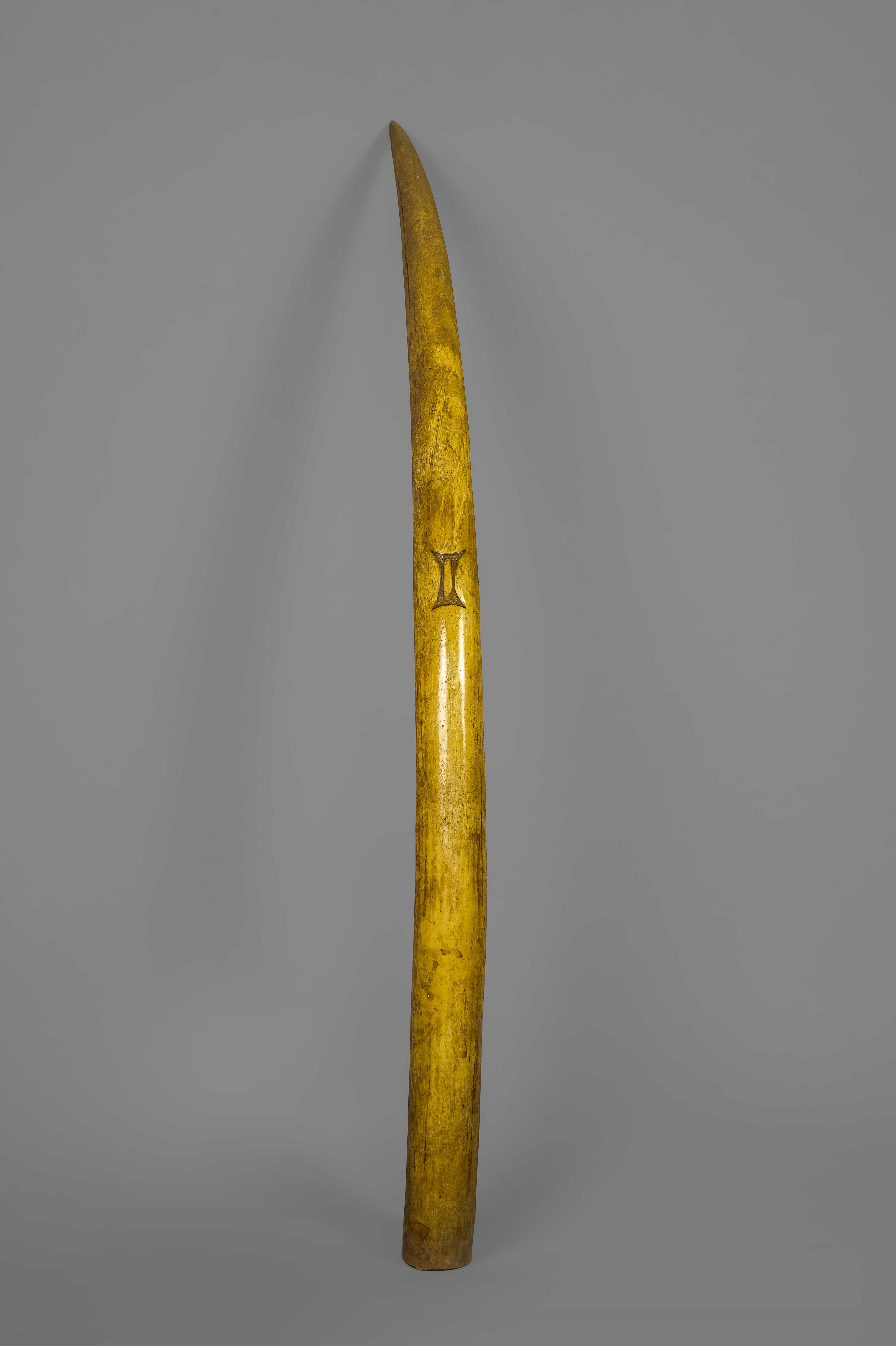 TBC King's Mark