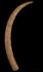 Altar Tusk