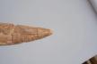 Altar Tusk