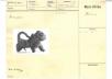 Leopard Figure