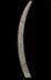 Altar Tusk