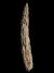 Altar Tusk
