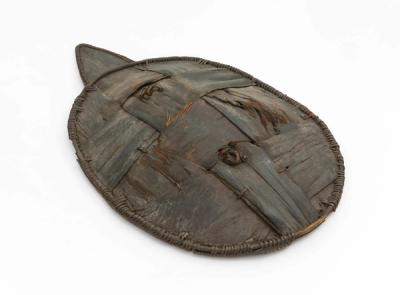 Shield