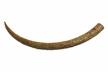 Altar Tusk