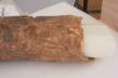 Altar Tusk