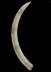 Altar Tusk