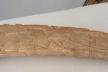 Altar Tusk