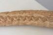 Altar Tusk
