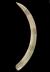 Altar Tusk