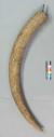 Altar Tusk