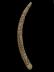Altar Tusk