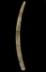 Altar Tusk