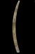 Altar Tusk