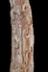 Altar Tusk