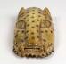 Pendant Mask