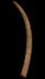Altar Tusk