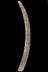 Altar Tusk