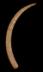 Altar Tusk