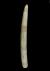 Altar Tusk