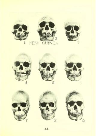 An archival document representing a Sales Catalogs of 50 page(s)