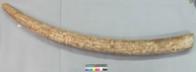 Altar Tusk
