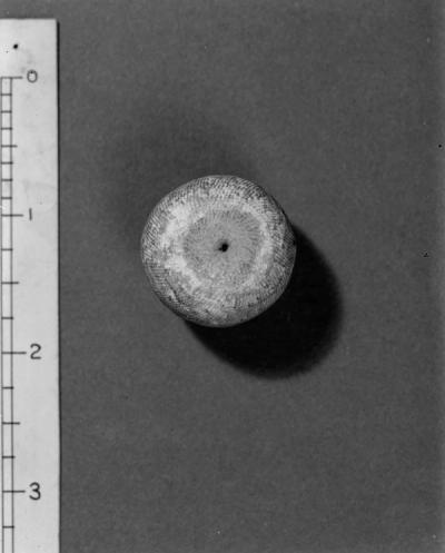 Bead